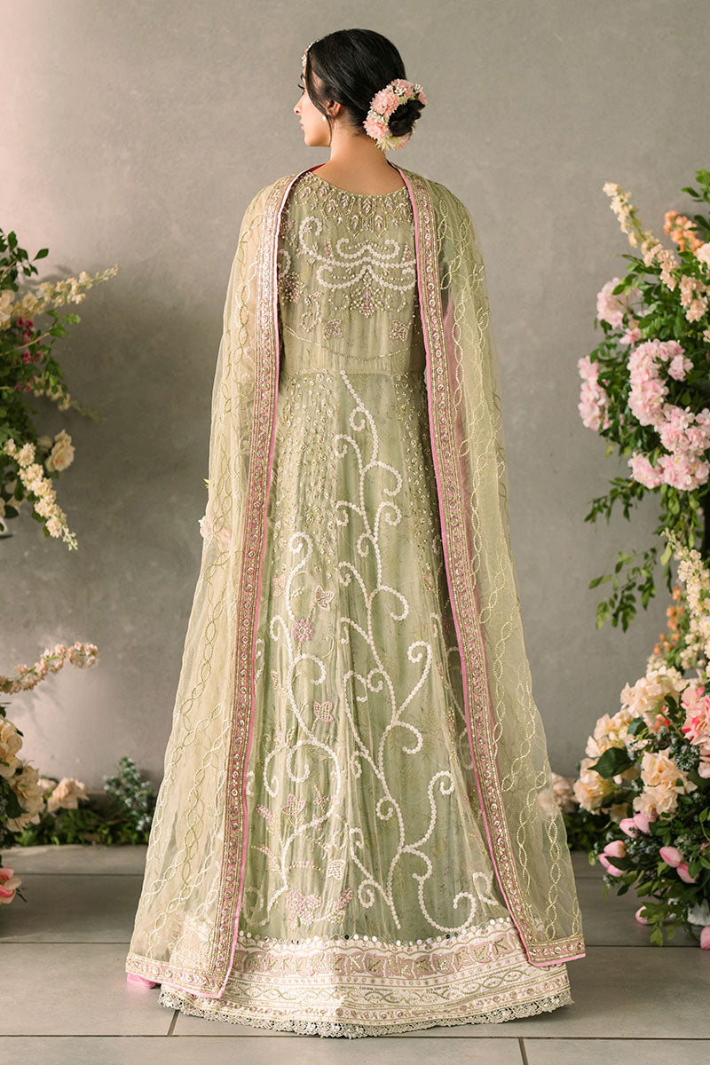 Mushq Mastani Evening Embroidered Chiffon Unstitched 3Pc Suit MCH-10 NAMAR