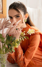 Asifa & Nabeel Meraki Vintage Embroidered Lawn Unstitched 3Pc Suit MVL25-19 Nargis