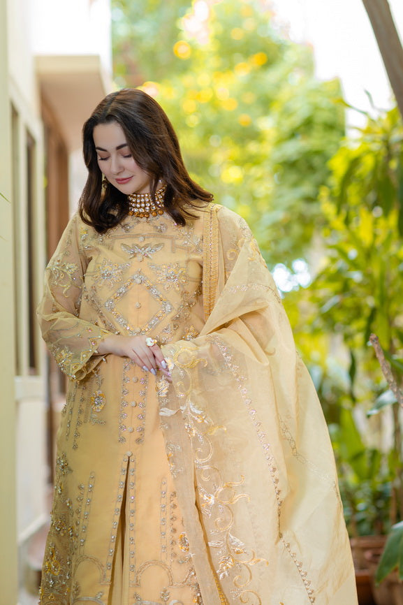 Noor by Azzal Embroidered Organza Unstitched 3Pc Suit D-05 Nureh