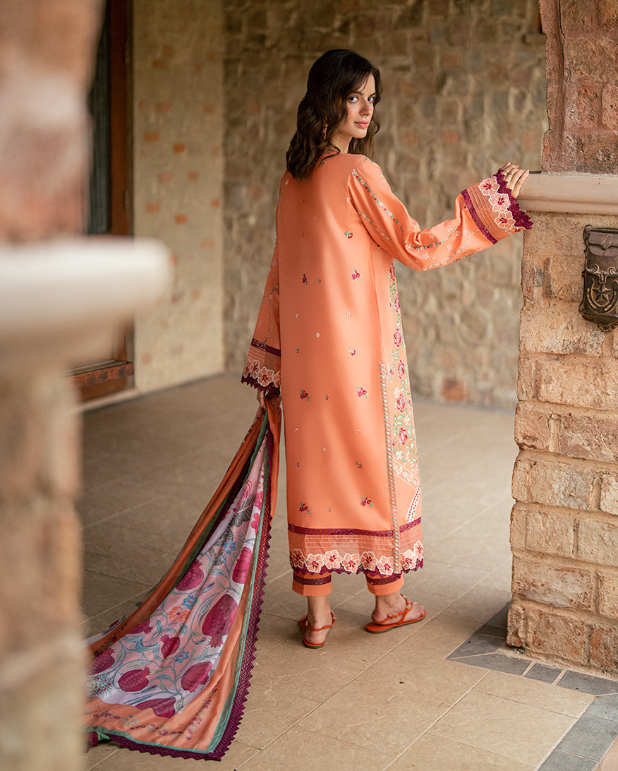 Roheenaz Reverie Embroidered Lawn Unstitched 3Pc Suit RNZ2502B Orelia