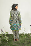 Safwa Printed Lawn Pret 2Pc Suit ( Ready To Wear ) P000912