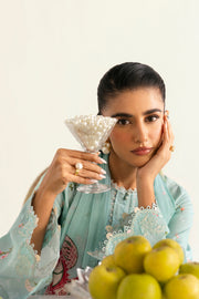 Qalamkar QPrints Unstitched Printed Lawn 3Pc Suit PQ-08B RENA