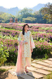 Farasha Summer Co Ords Printed Lawn Unstitched 3Pc Suit - Pastel Haze