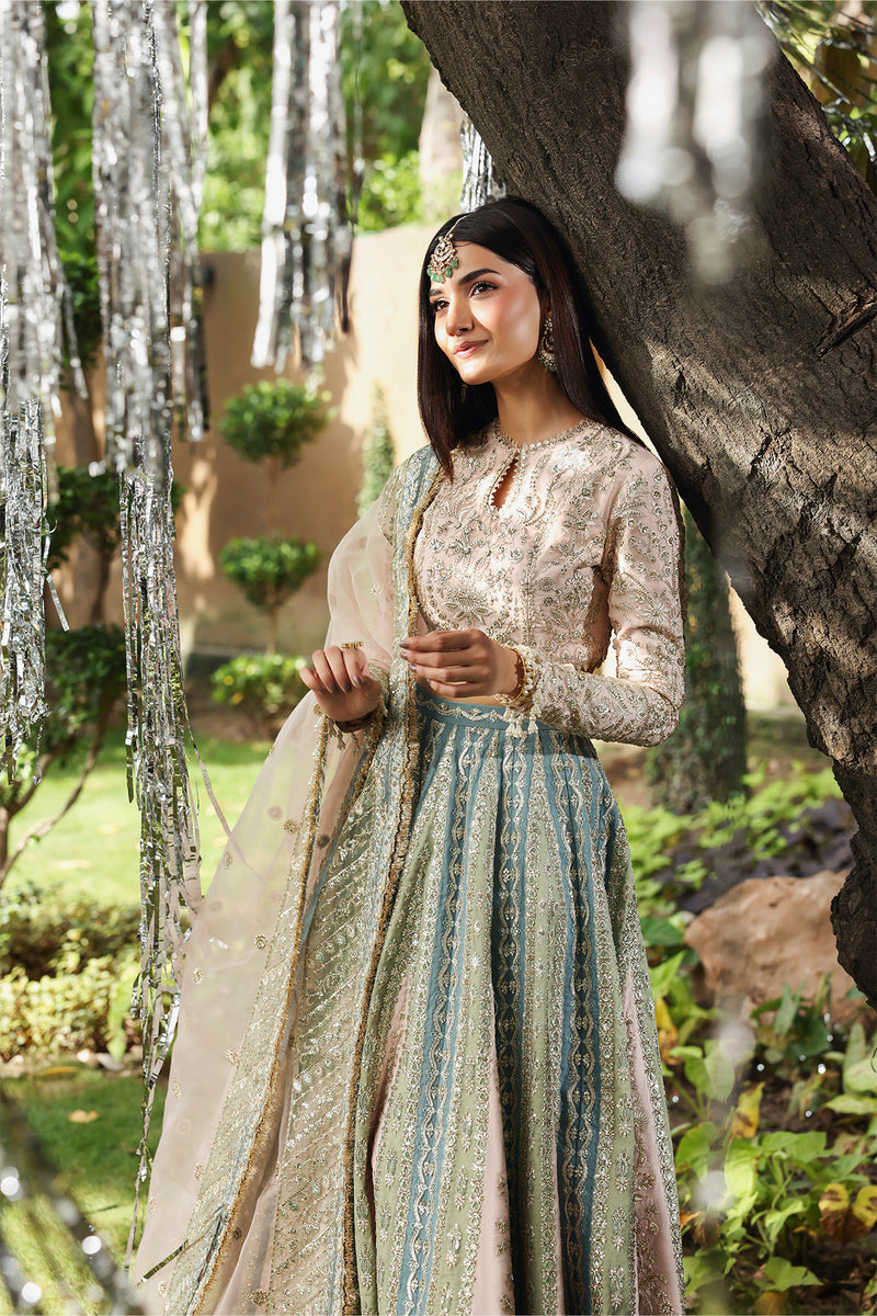 Afrozeh Dastangoi Embroidered Organza Unstitched 3Pc Suit AWS-01 PETALHOUR