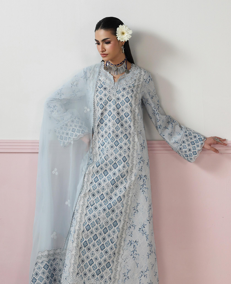 Qalamkar QPrints Embroidered Lawn Unstitched 3Pc Suit QQP-10B Aline