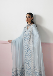 Qalamkar QPrints Embroidered Lawn Unstitched 3Pc Suit QQP-10B Aline