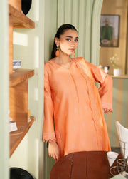 Raha by RajBari Premium Chikankari Embroidered Lawn Unstitched 3Pc Suit D-07