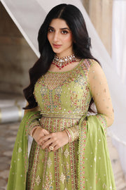 Qalamkar Shadmaani Embroidered Net Unstitched 3Pc Suit RH-03 GULNARA