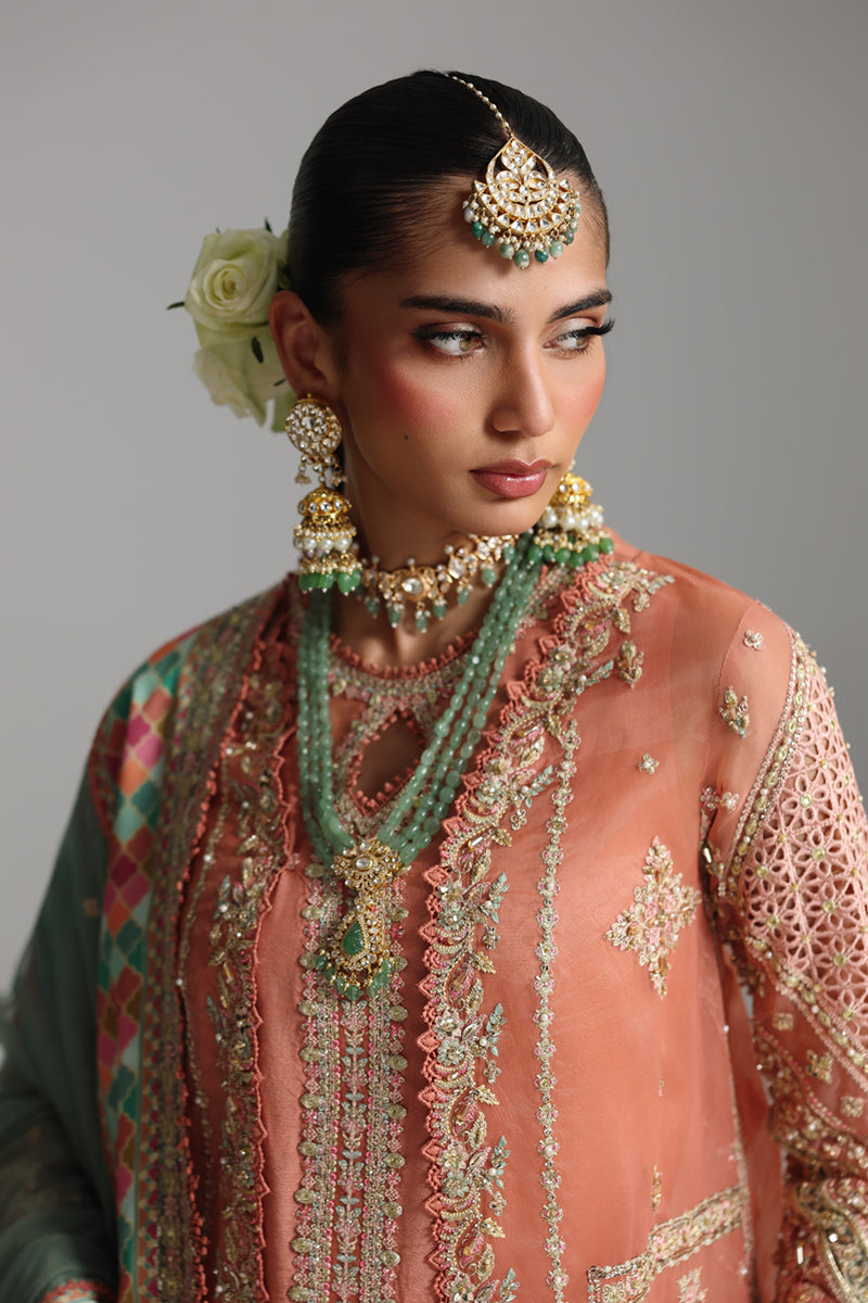 Qalamkar Shadmaani Embroidered Organza Unstitched 3Pc Suit RH-04 ZEHRA