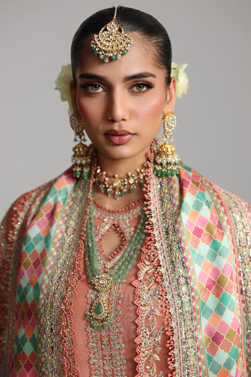 Qalamkar Shadmaani Embroidered Organza Unstitched 3Pc Suit RH-04 ZEHRA