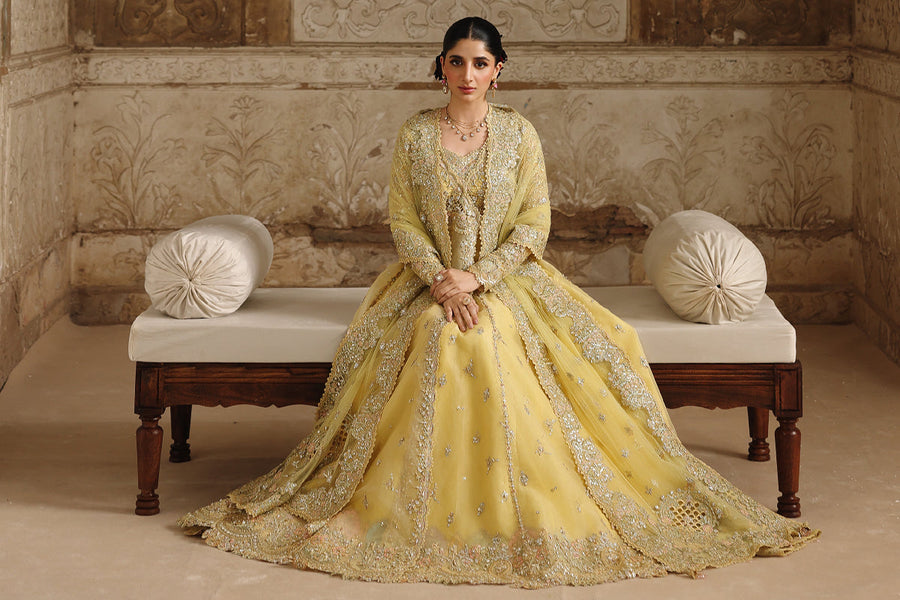 Qalamkar Shadmaani Embroidered Organza Unstitched 3Pc Suit RH-06 HOOR