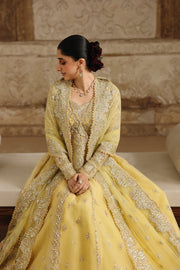 Qalamkar Shadmaani Embroidered Organza Unstitched 3Pc Suit RH-06 HOOR