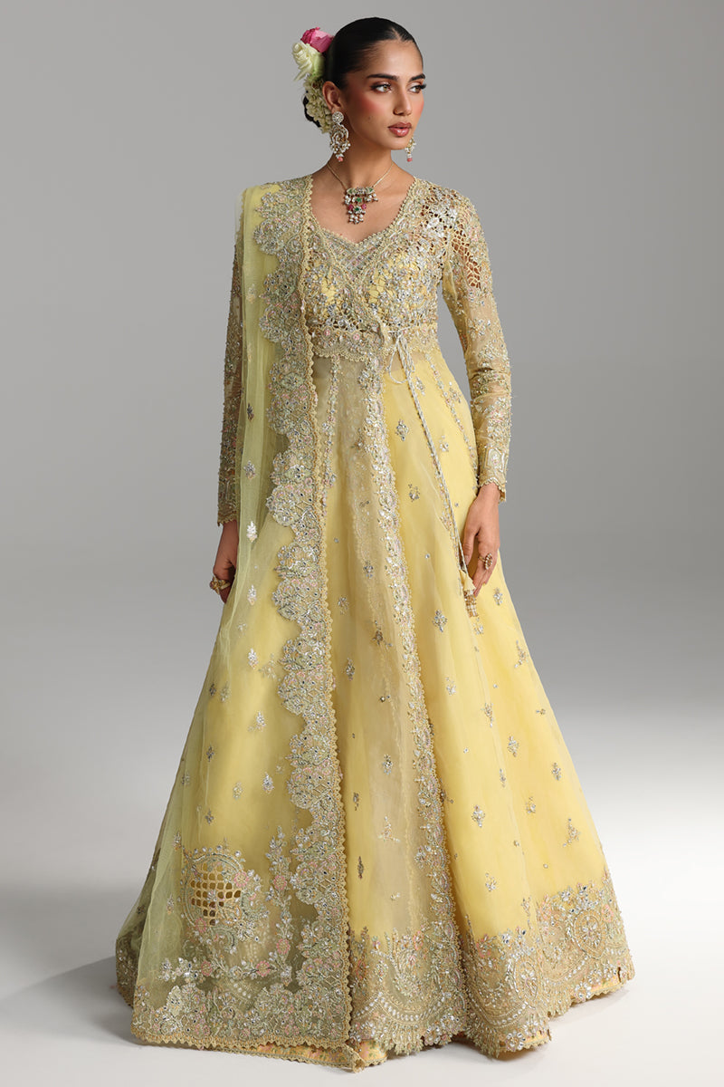 Qalamkar Shadmaani Embroidered Organza Unstitched 3Pc Suit RH-06 HOOR