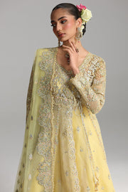 Qalamkar Shadmaani Embroidered Organza Unstitched 3Pc Suit RH-06 HOOR