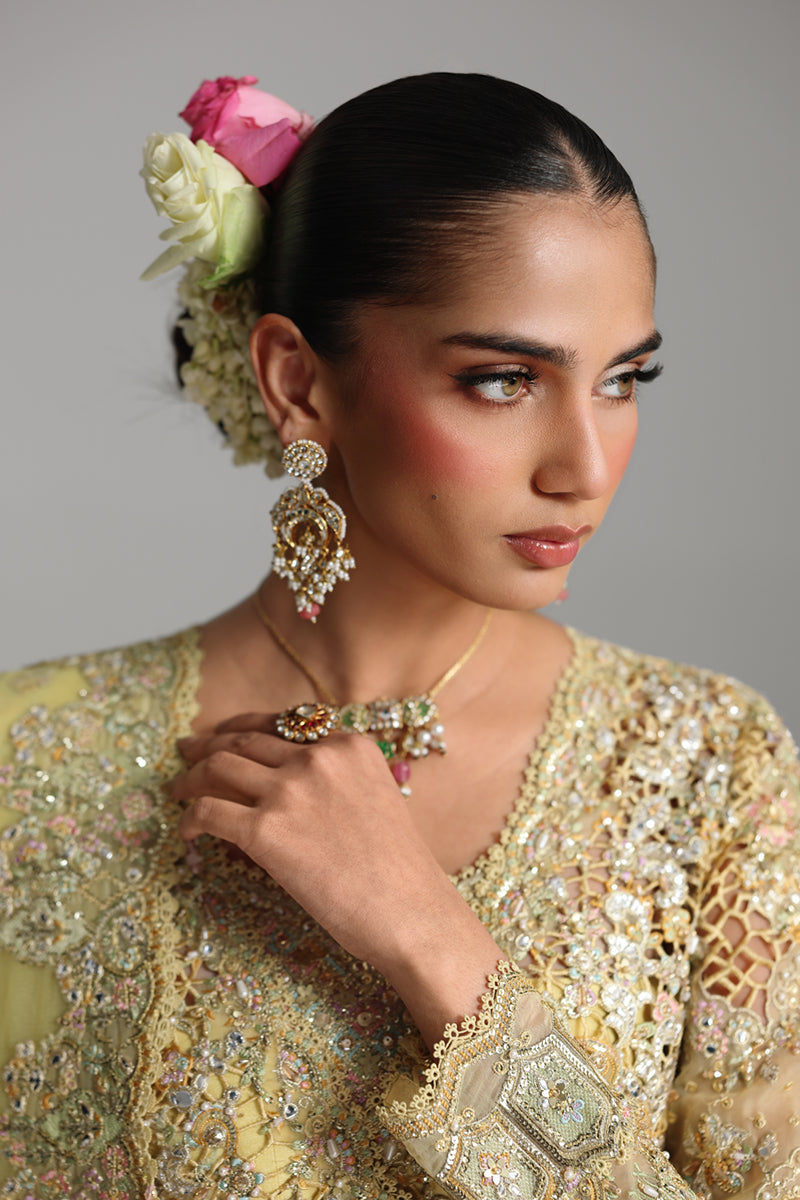 Qalamkar Shadmaani Embroidered Organza Unstitched 3Pc Suit RH-06 HOOR