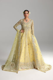Qalamkar Shadmaani Embroidered Organza Unstitched 3Pc Suit RH-06 HOOR
