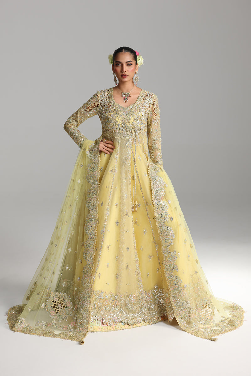 Qalamkar Shadmaani Embroidered Organza Unstitched 3Pc Suit RH-06 HOOR