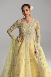 Qalamkar Shadmaani Embroidered Organza Unstitched 3Pc Suit RH-06 HOOR