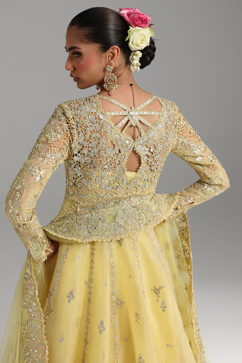 Qalamkar Shadmaani Embroidered Organza Unstitched 3Pc Suit RH-06 HOOR