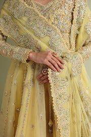 Qalamkar Shadmaani Embroidered Organza Unstitched 3Pc Suit RH-06 HOOR