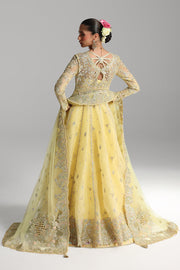 Qalamkar Shadmaani Embroidered Organza Unstitched 3Pc Suit RH-06 HOOR