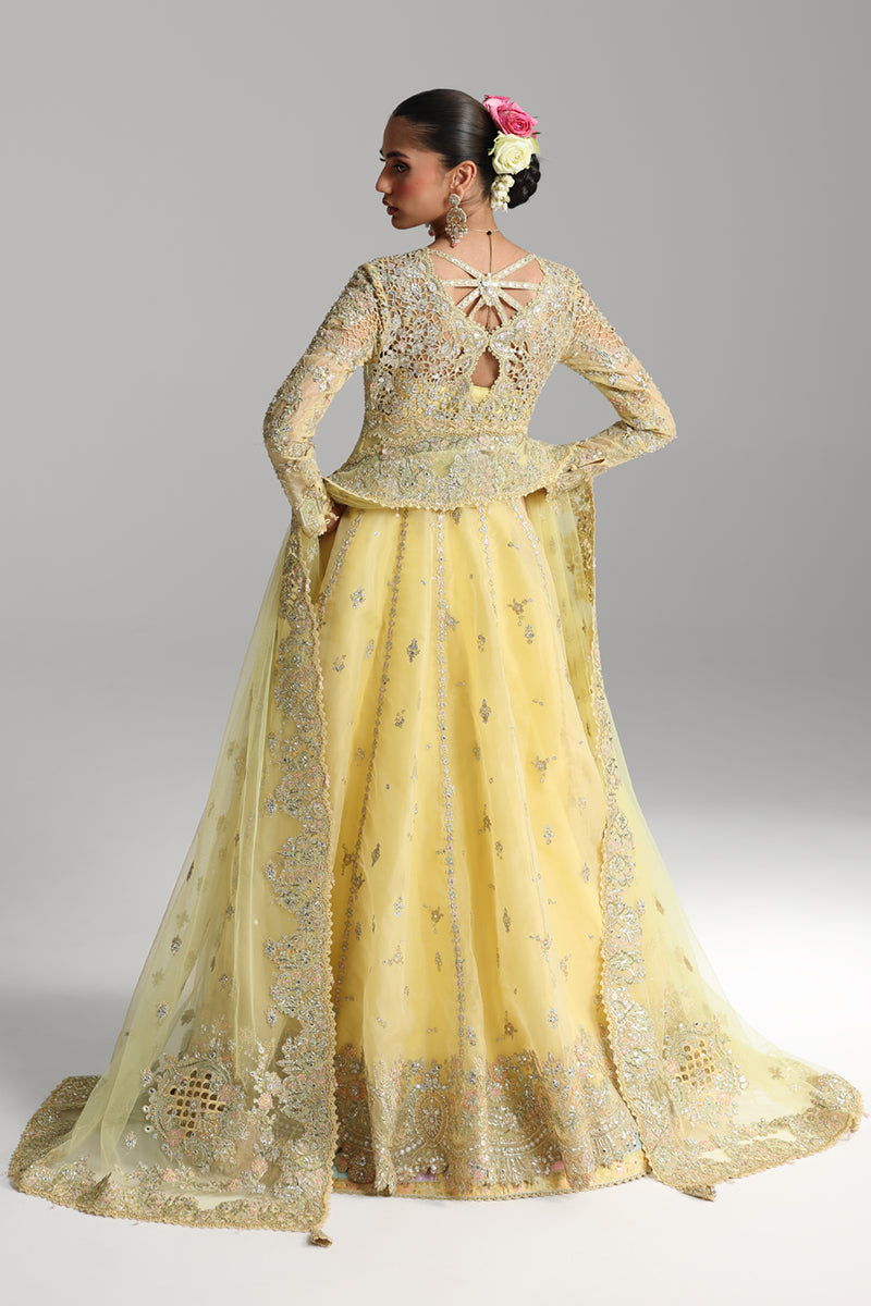 Qalamkar Shadmaani Embroidered Organza Unstitched 3Pc Suit RH-06 HOOR