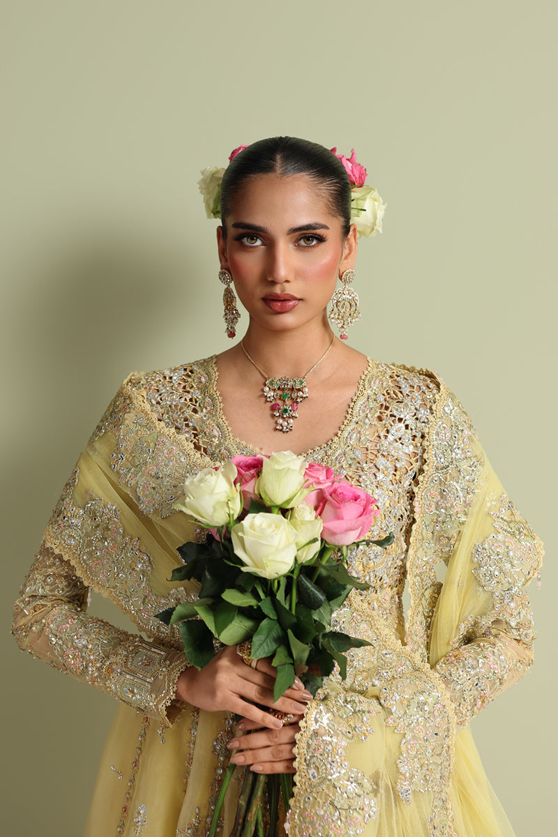 Qalamkar Shadmaani Embroidered Organza Unstitched 3Pc Suit RH-06 HOOR