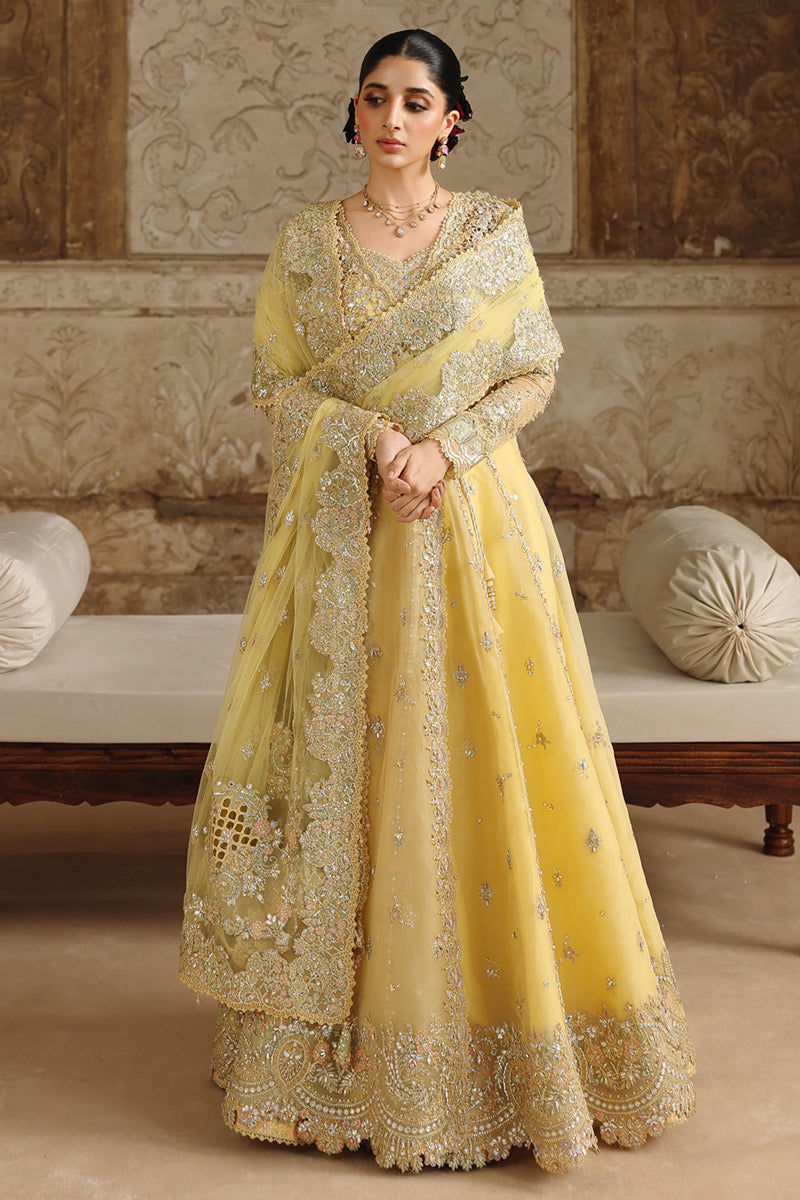 Qalamkar Shadmaani Embroidered Organza Unstitched 3Pc Suit RH-06 HOOR