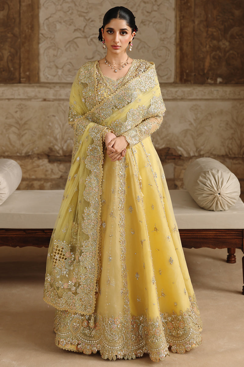 Qalamkar Shadmaani Embroidered Organza Unstitched 3Pc Suit RH-06 HOOR