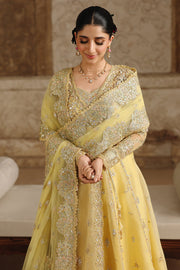 Qalamkar Shadmaani Embroidered Organza Unstitched 3Pc Suit RH-06 HOOR