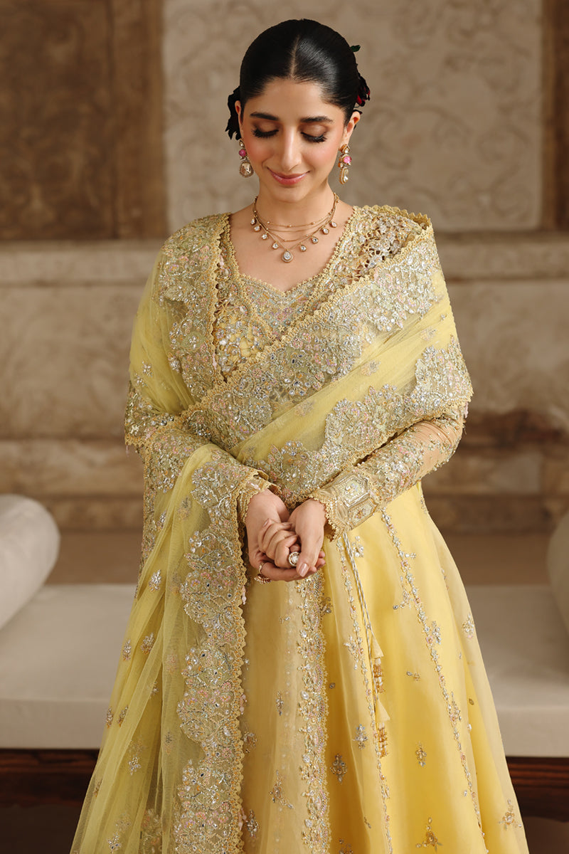 Qalamkar Shadmaani Embroidered Organza Unstitched 3Pc Suit RH-06 HOOR