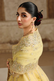 Qalamkar Shadmaani Embroidered Organza Unstitched 3Pc Suit RH-06 HOOR