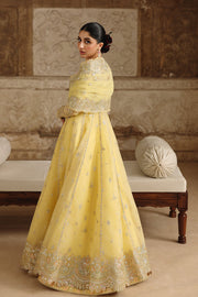 Qalamkar Shadmaani Embroidered Organza Unstitched 3Pc Suit RH-06 HOOR