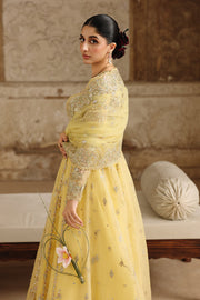 Qalamkar Shadmaani Embroidered Organza Unstitched 3Pc Suit RH-06 HOOR