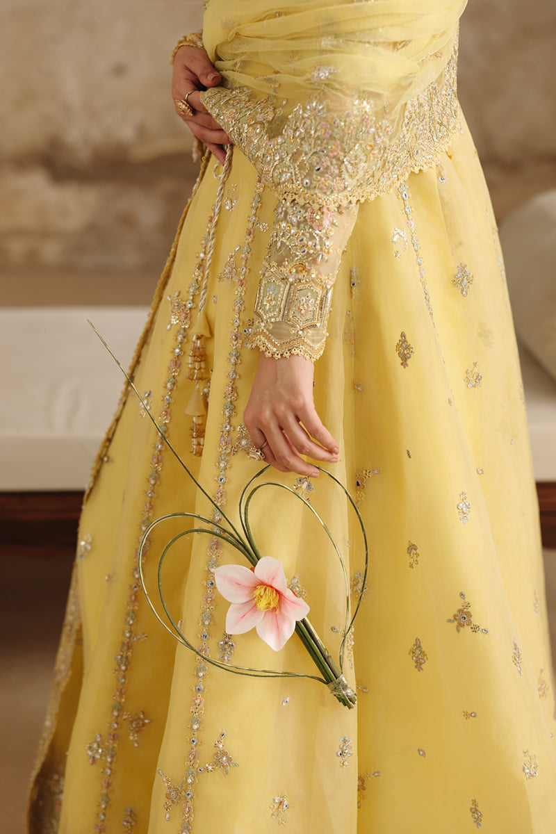 Qalamkar Shadmaani Embroidered Organza Unstitched 3Pc Suit RH-06 HOOR