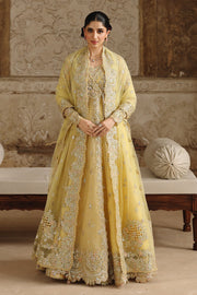 Qalamkar Shadmaani Embroidered Organza Unstitched 3Pc Suit RH-06 HOOR