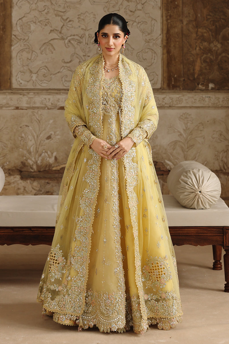 Qalamkar Shadmaani Embroidered Organza Unstitched 3Pc Suit RH-06 HOOR