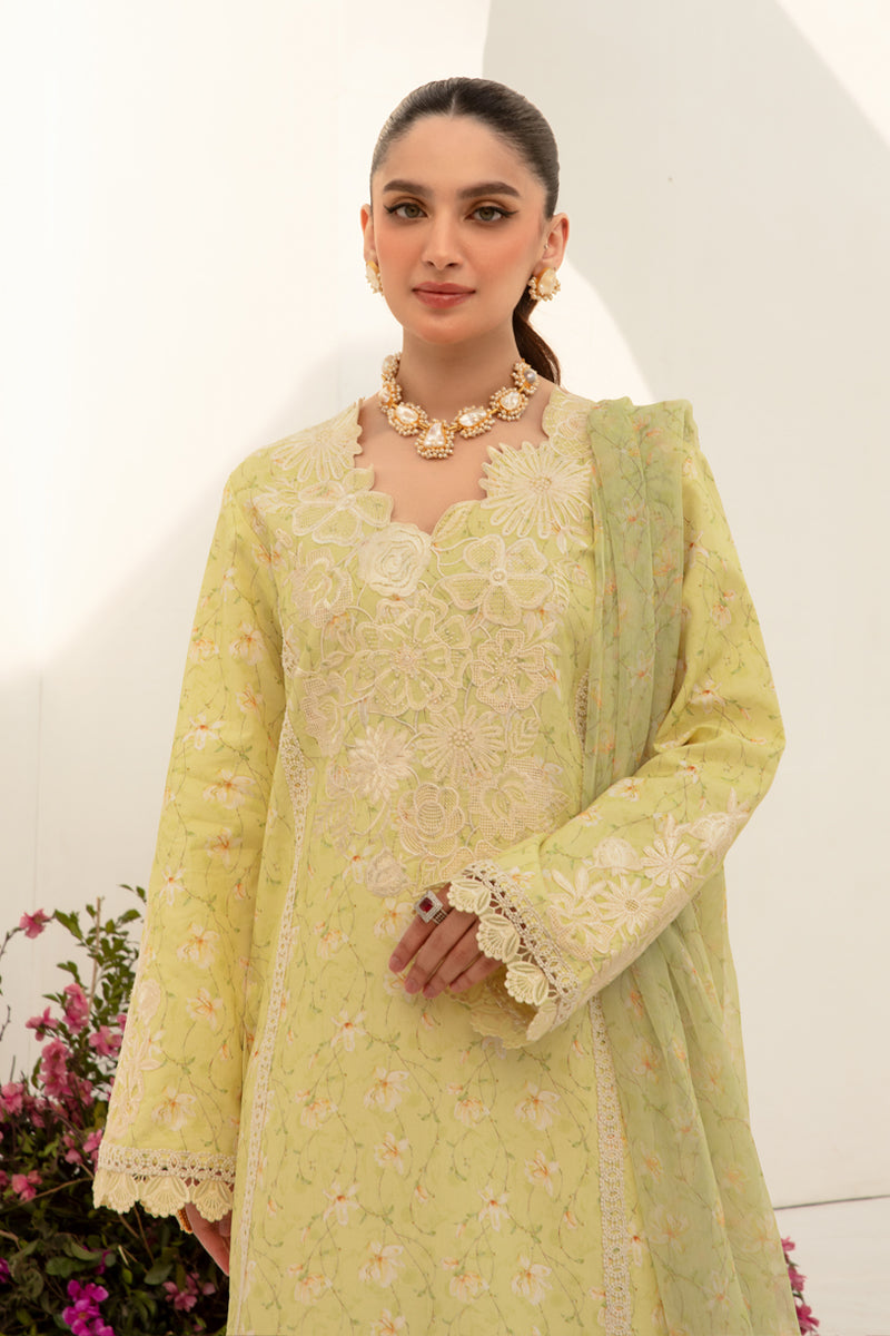 Rang Rasiya Florence Embroidered Lawn Unstitched 3Pc Suit D-03 Olivia