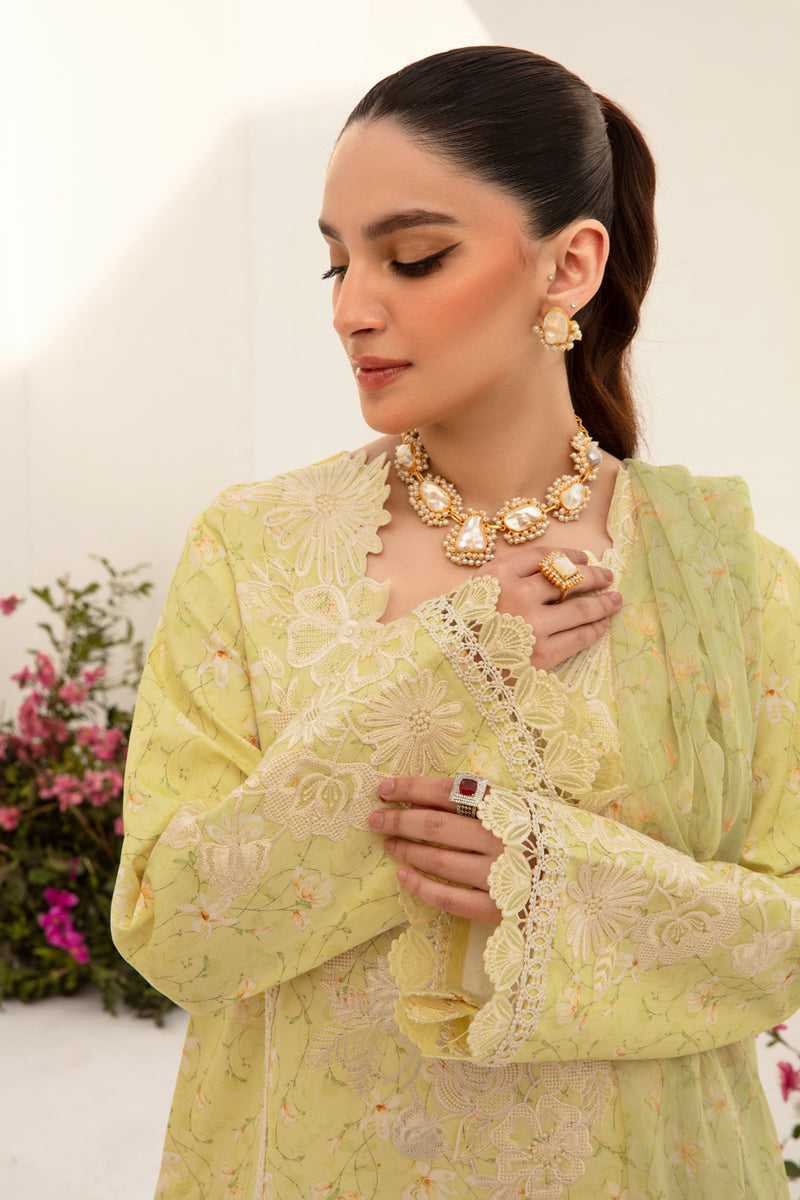 Rang Rasiya Florence Embroidered Lawn Unstitched 3Pc Suit D-03 Olivia