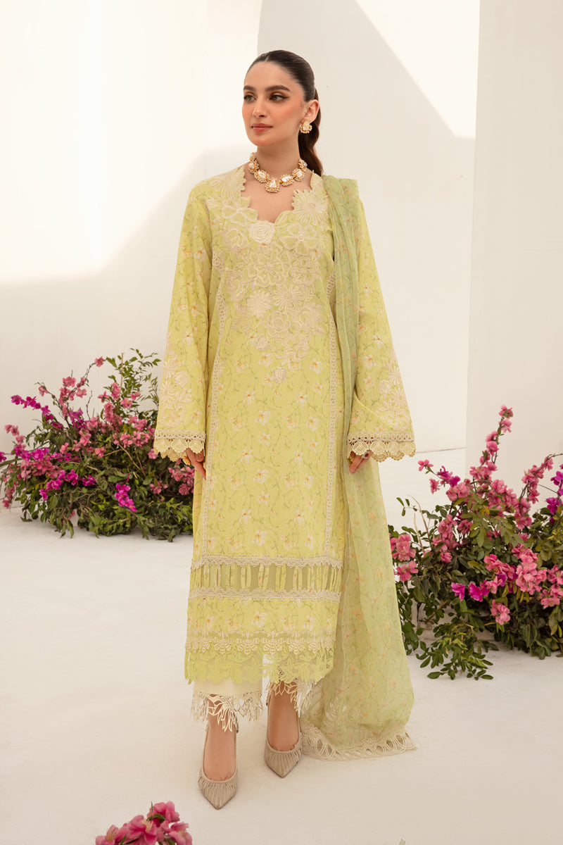 Rang Rasiya Florence Embroidered Lawn Unstitched 3Pc Suit D-03 Olivia