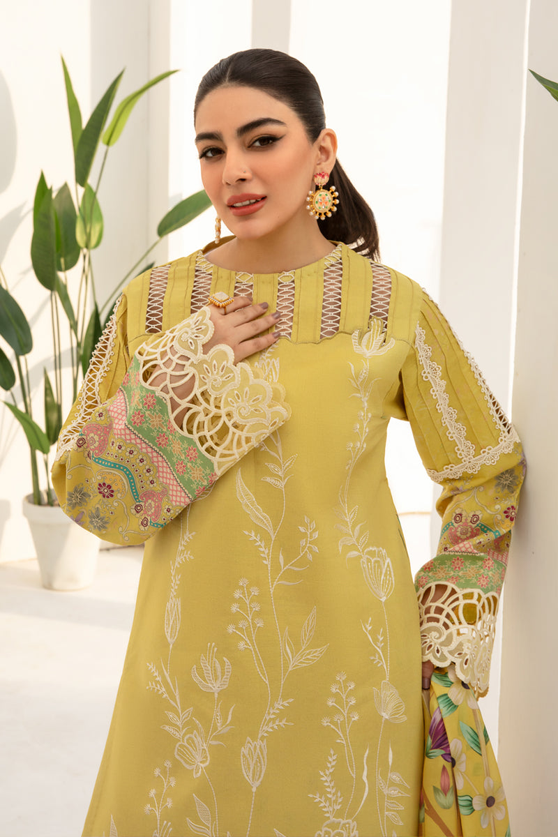 Rang Rasiya Florence Embroidered Lawn Unstitched 3Pc Suit D-06 Sunshine