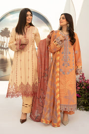 Rang Rasiya Florence Embroidered Lawn Unstitched 3Pc Suit D-07 Hazel