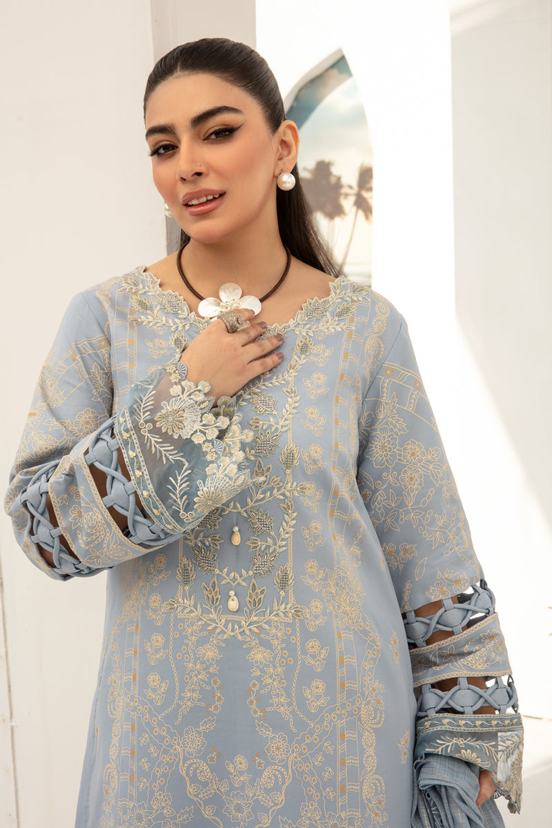 Rang Rasiya Florence Embroidered Lawn Unstitched 3Pc Suit D-09 Mellow