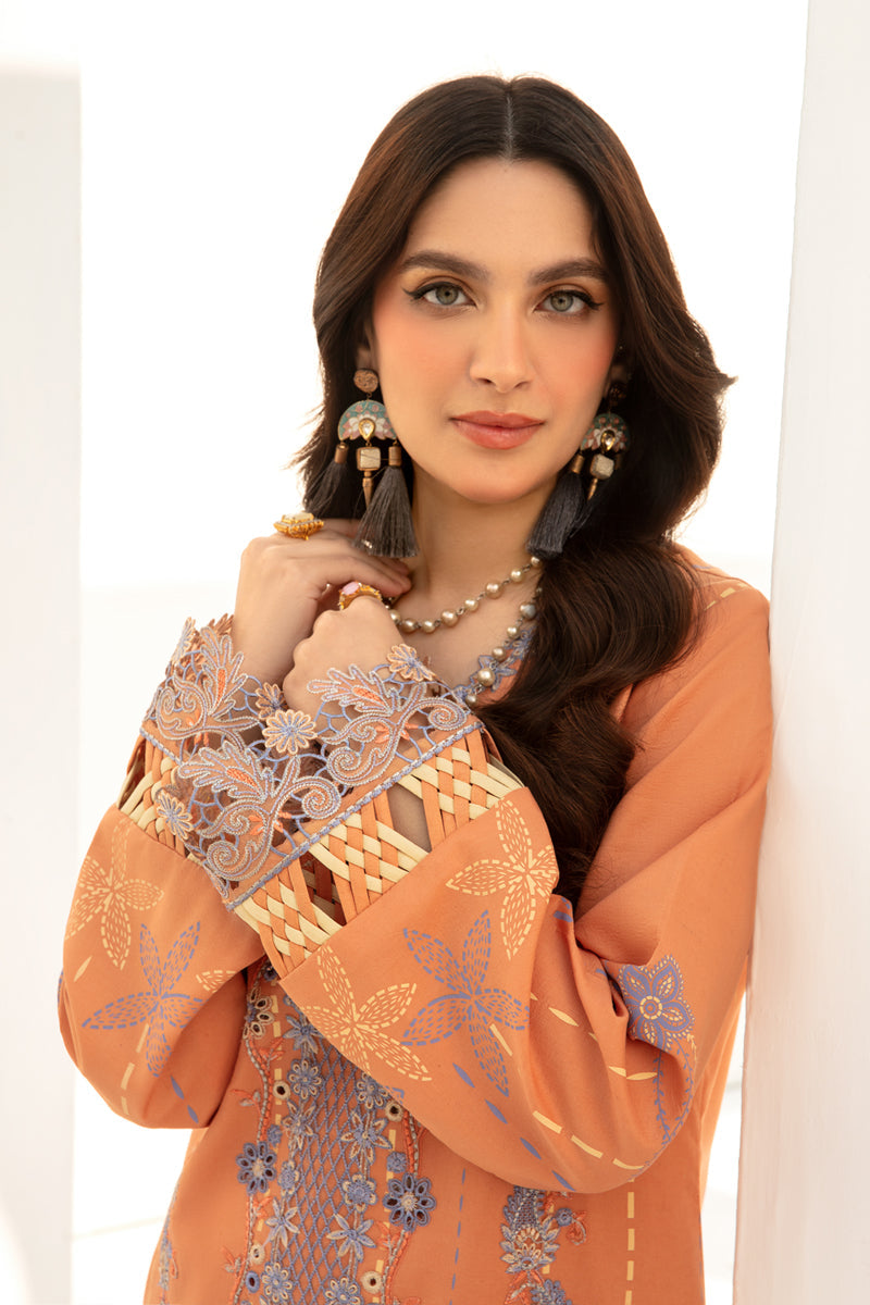 Rang Rasiya Florence Embroidered Lawn Unstitched 3Pc Suit D-10 Cinnamon