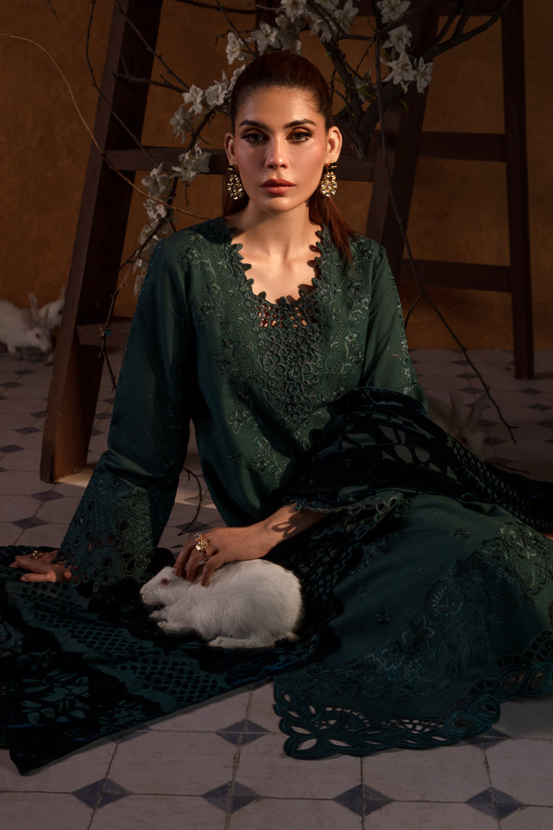 Rang Rasiya Embroidered Khaddar Unstitched 3Pc Suit D-05 Affogato