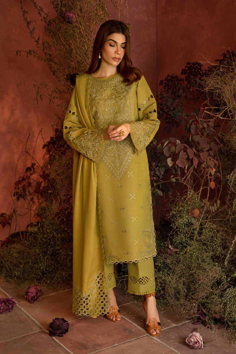 Rang Rasiya Embroidered Karandi Unstitched 3Pc Suit D-10 Cardamom