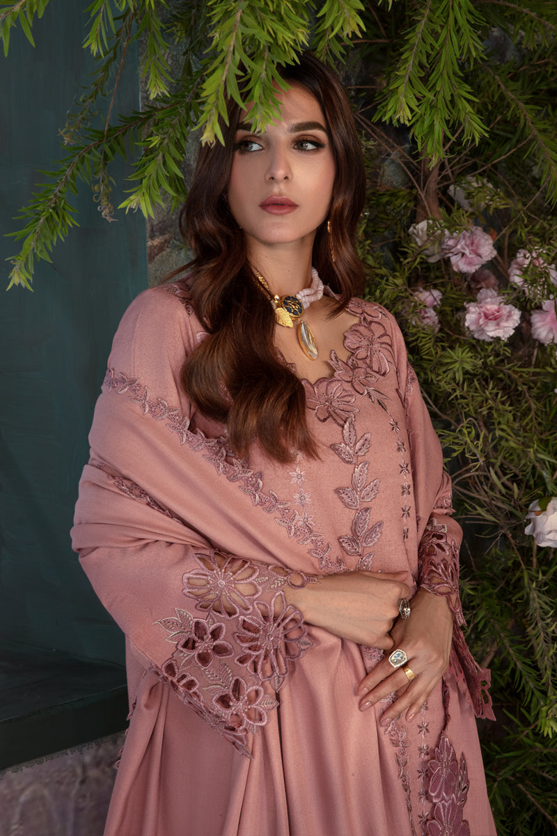 Rang Rasiya Embroidered Karandi Unstitched 3Pc Suit D-11 Chai