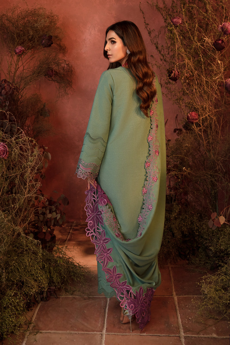 Rang Rasiya Embroidered Karandi Unstitched 3Pc Suit D-12 Mint