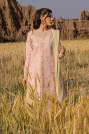 Rang Rasiya Premium Embroidered Lawn Unstitched 3Pc Suit D-01 NEHAL