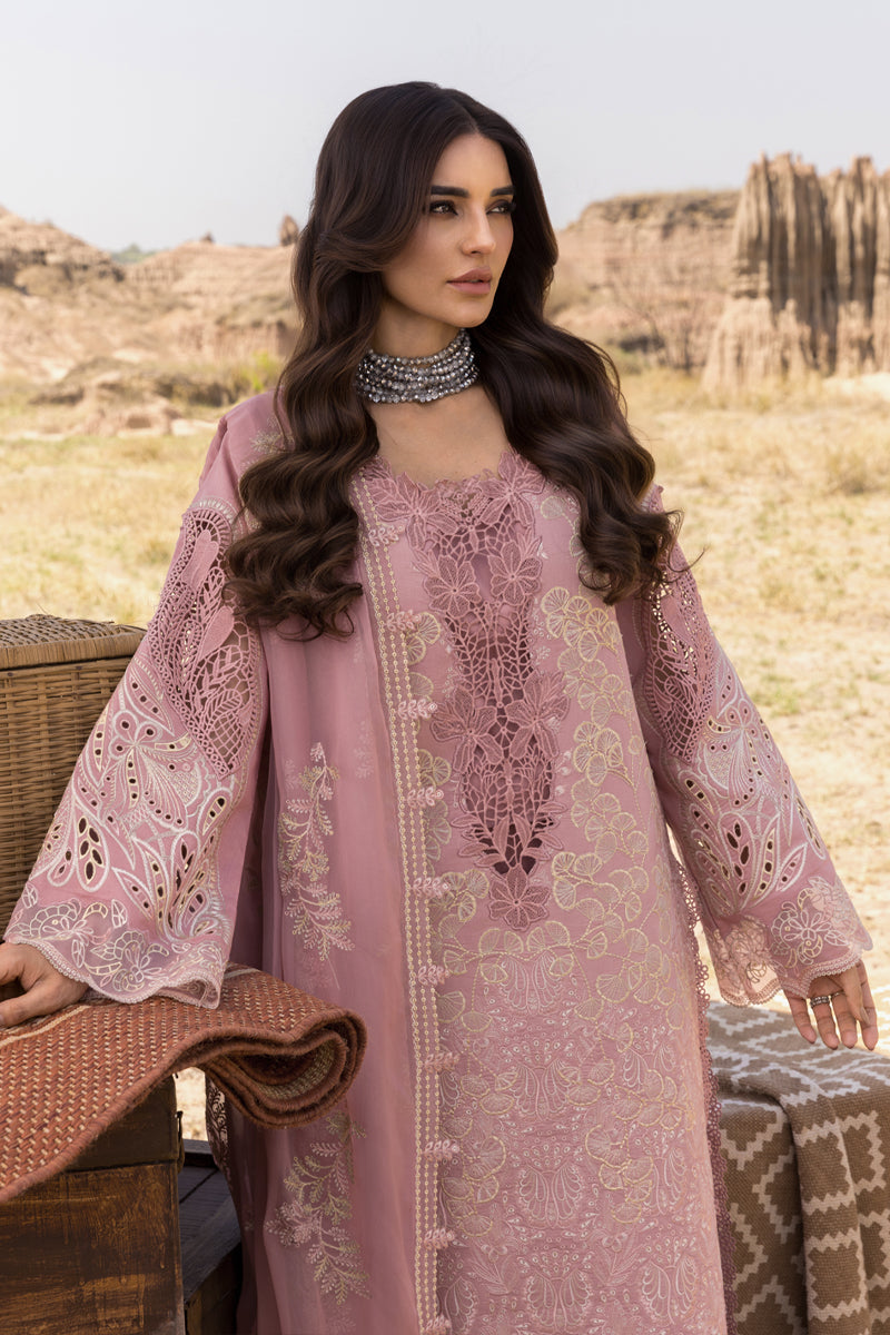 Rang Rasiya Premium Embroidered Lawn Unstitched 3Pc Suit D-02 AYSEL